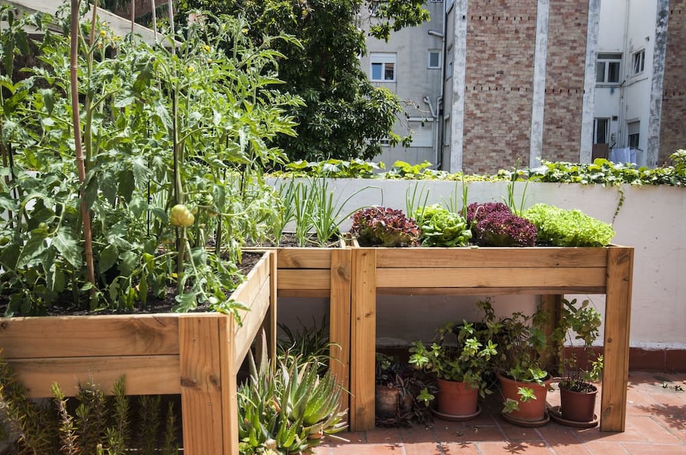 HOSTEL STUDIO ALBERGUE