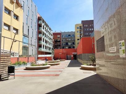 Jardí dʼAssumpció Català