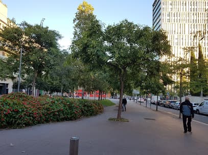 Carrer dels Garrofers, Garden