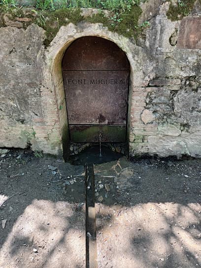 Font Muguera