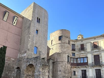 Roman Towers