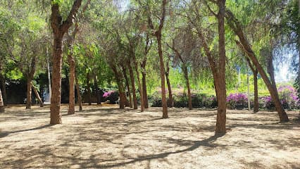 Els Nius i Pous del Cel