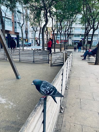 Plaça de Can Rosés
