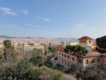 Barcelona City Viewpoint