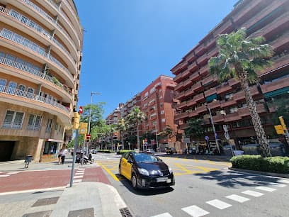 Jardins de Menéndez i Pelayo