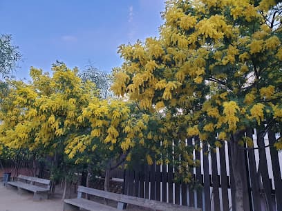 Jardins de Maria Baldó