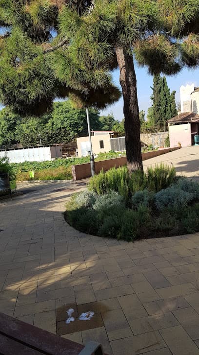 Horta Masia Sant Martí