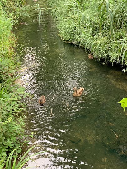 Jardíns Primer de Maig