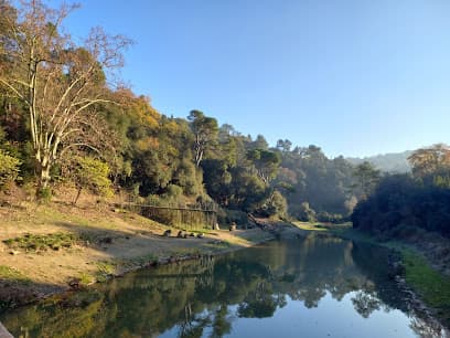 Vallvidrera Reservoir