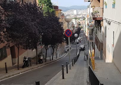 Placeta de Lugo