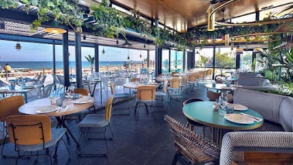 Can Fisher Restaurante playa Bogatell