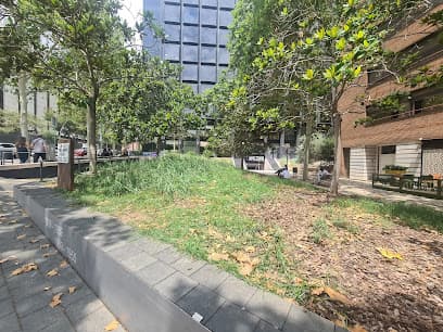 Jardins de Carme Claramunt Barot